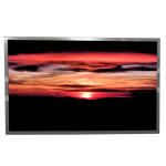 BOE 22.0 inch LCD Screen EV220WPM-N10 resolution 1680*1050 lvds 30pins LCD Panel for sale
