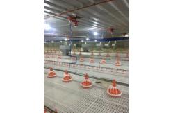 China Customized 110V Pan Feeding System For Broiler Chicken Pan Feeder supplier