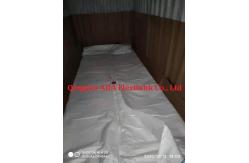 China Fatty Acid Multilayers X24000L BLBD Bulk Container Liner supplier