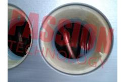 China 200L Copper Coils Exchange Integrative Low Pressure Solar Water Heater supplier