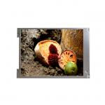 G084SN03 V0 New Original 8.4 inch SVGA 800(RGB)×600 TFT LCD Display for AUO for sale
