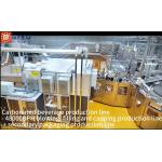 Carbonated Beverage Production Line 48000BPH Blowing Filling And Capping Production Line + Secondary Packaging Production Line for sale
