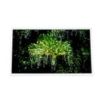 AM-320240L9TNQW-T01H 320*240 3.5 inch Touch 60Hz LCD Screen for sale