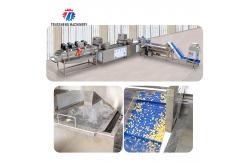 China Streamline Your Manufacturing Process with Our Advanced Fruit And Vegetable Processing Line supplier