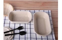 China Biodegradable Bamboo Pulp Food Container Microwaveable With Cover Safety supplier