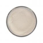 Baking Industry Enzymes 100000U/G Amylase Enzyme For Bread for sale