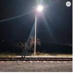 200lm Remote Control 6000k Led Solar Flood Light