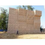 Professional Indoor Climbing Wall Climbing Holds Custom Moisture Proof for sale