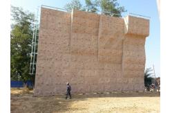 China Professional Indoor Climbing Wall Climbing Holds Custom Moisture Proof supplier