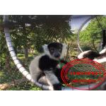 Knotted Animal Enclosure Netting , Zoo Aviary Netting Corrosion Resistant for sale