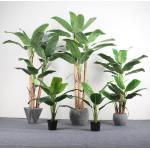 Big Leaves Artificial Evergreen Leaves Japonica Floor Plants for sale