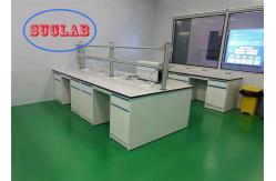 China Multi Functional Lab bench Malaysia with Reagent Rack and Splash Proof Box supplier