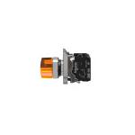 Schneider Electric Rotary Pushbutton with Illuminated Switch XB4BK125B5 DPST-NO/NC Circuit and 3A at 24V Rated Current for sale