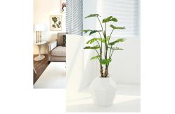 China Nordic Bonsai Evergreen Monstera Artificial Potted Plant Ornament supplier