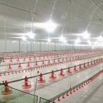 45mm Diameter Broiler Equipment for sale
