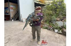 China Customized Realistic Baby Animatronics Dinosaur Hand Puppet supplier