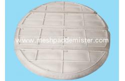 China High Working Temperature Plastic Material PTFE Mesh Pad Mist Eliminator supplier