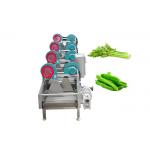 Food Processing Fruit Vegetable 0.5TPH Food Drying Machine for sale