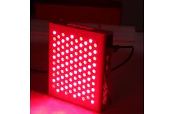 China Portable Pdt Physiotherapy Apparatus Photon Infrared Red Light Therapy supplier