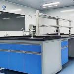 Customized All Steel Lab Island Bench With Adjustable Shelves And Doors
