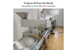 China RQ-16H Automatic Tablet Counting Machine Line Packing Bottling Capsule Gummy Candy supplier