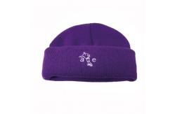 China Crochet Knitted Winter Skull Ski Cap , Beanie Slouch Alpaca Warm Knitted Hat supplier