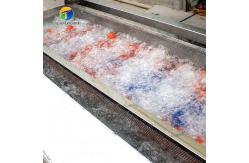 China SS 380V Industrial Vegetable And Fruit Washing Machine supplier