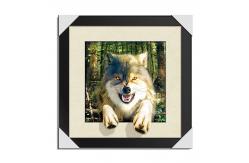 China Stock 5D pictures with Frame 3D Lenticular Pictures Popular Wolf Image supplier