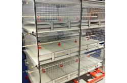 China 3-9 Floor Farm Battery Chicken Cage With Automatic System supplier