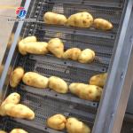 Commercial Electric Vegetable Elevator Machine Food Processor