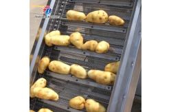 China Commercial Electric Vegetable Elevator Machine Food Processor supplier