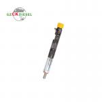 Common Rail Injector EJBR05101D EJBR05102D 166001137R