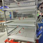 Modern Poultry Battery Cage , SGS 3/4 Floors 150 Broiler Chicken Farming Equipment for sale