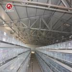 Broiler Chicken Farm Automatic Battery Cage System 13 Chicks/Cell for sale