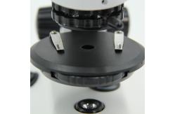 China Stereo OPTO EDU 20x-100x Binocular Biological Microscope supplier