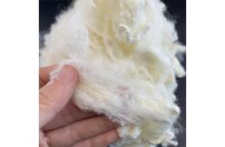 China Virgin Silicone-Free Flame Retardant Hollow Conjugated Polyester Staple Fiber 51mm supplier
