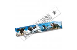 China School Students Kids Custom Printed Rulers Stationery 3D Lenticular Ruler supplier