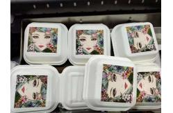 China PRY-691S Automatic Box Printer Machine Direct To Packaging supplier