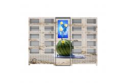 China Multi Compartments 100v Industrial Vending Lockers supplier