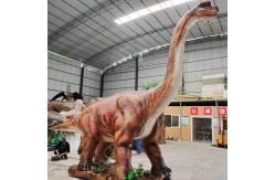 China Custom Realistic Dinosaur Costume For Entertainment Equipment supplier