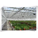 Hydroponic NFT System for Greenhouse Optional Irrigation Solution Included