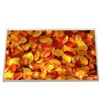 B133XW02 V1 LCD Display Screen LAPTOP 13.3 inch 1366*768 for sale