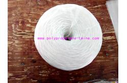 China Raw White Polypropylene Twine Packing Rope Lt021 Diameter 1mm - 6mm supplier