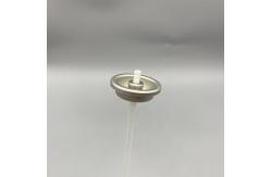 China Eco-Friendly Carburetor Care Spray Valve Biodegradable Solution for Engine Maintenance supplier