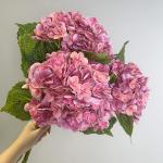 Biomimetic hydrangea flowers, simulated flowers, moisturizing touch, hydrangea bouquets, living room dining table decorations, wedding flower arrangement decorations for sale
