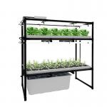 600*1200mm Vertical Hydroponic Growing Systems For Salad Greens for sale