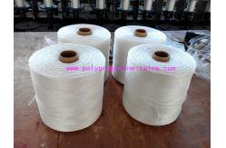 China UV Treated Polypropylene Tomato Tying Twine For Greenhouse Cucumber supplier
