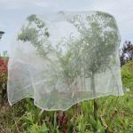 Vegetables And Fruit Tree Netting Bags Cover For Recycle Ultra fine