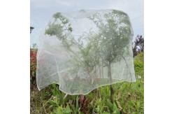 China Vegetables And Fruit Tree Netting Bags Cover For Recycle Ultra fine supplier