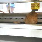 Coconut Full Automatic Coconut Milk Processing Equipment SUS316L for sale